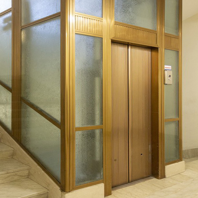 Ostar Home Elevator/Villa Elevator/Home Lift